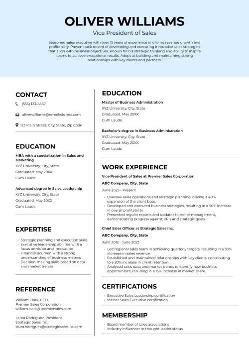 executive level sales CV example