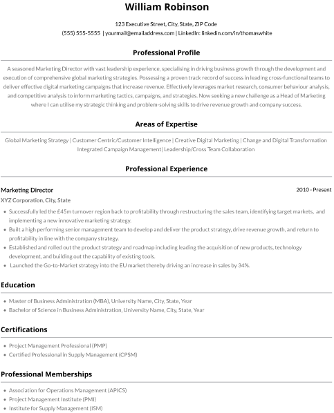 Executive level digital marketing CV example